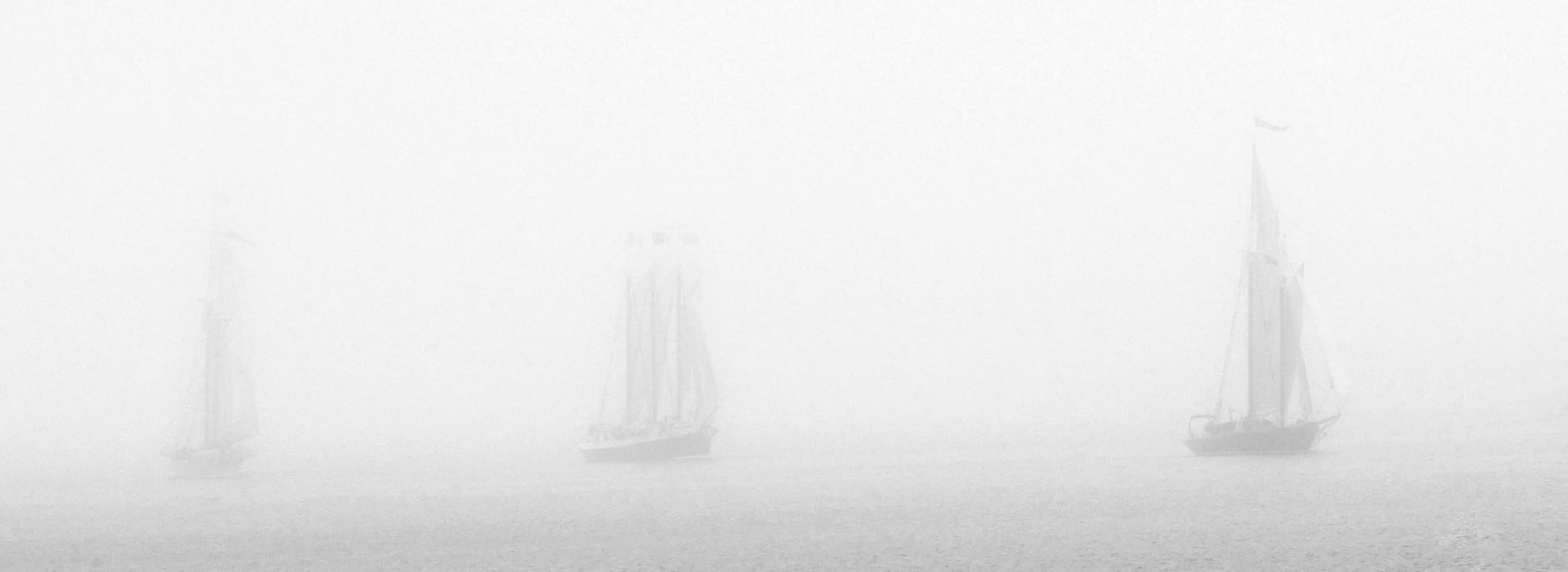 Coming in From the Fog