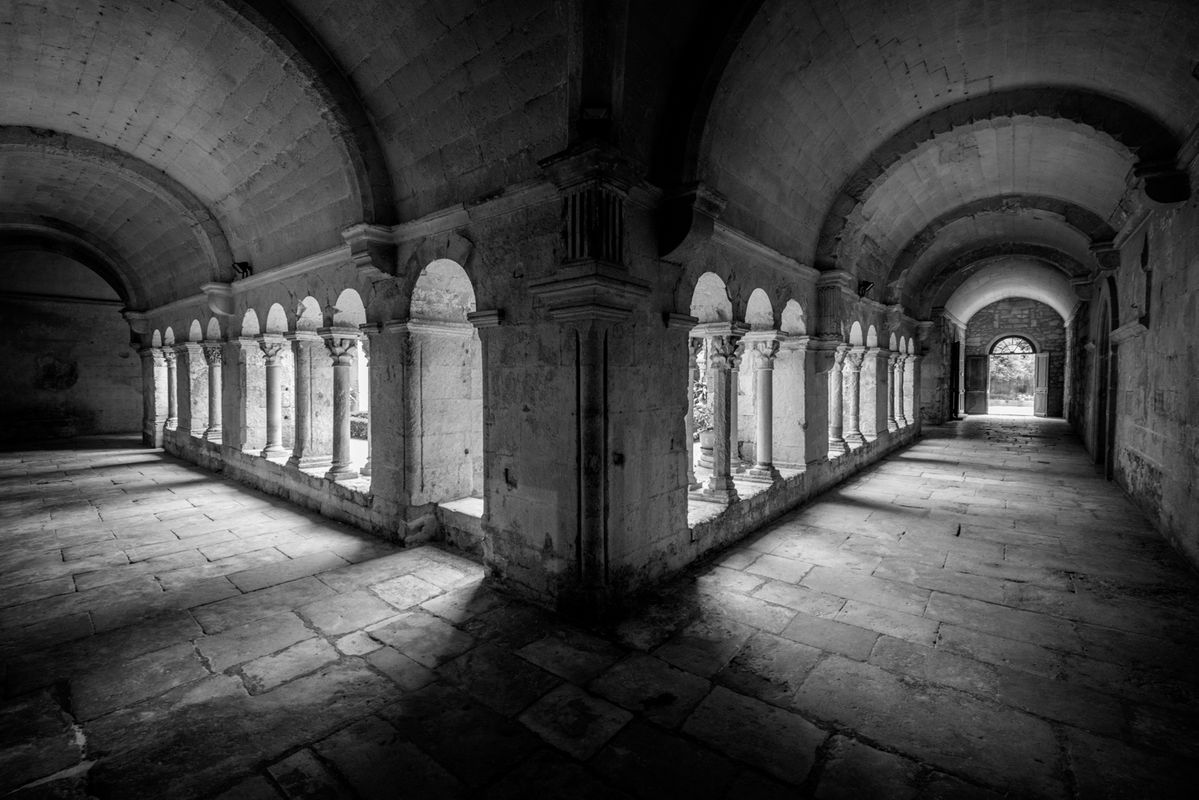 View at Saint-Paul Asylum