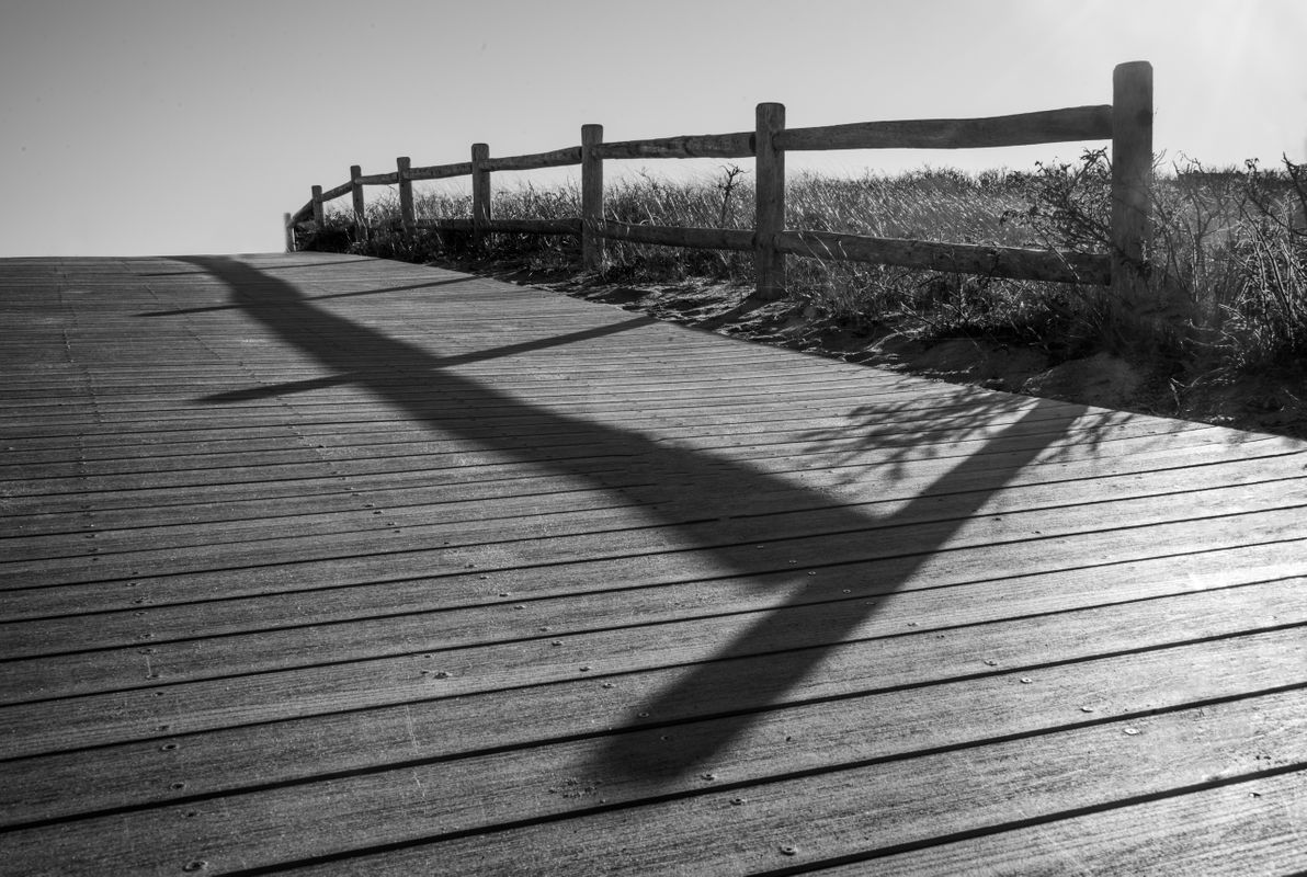 Shadows on Boardwalk