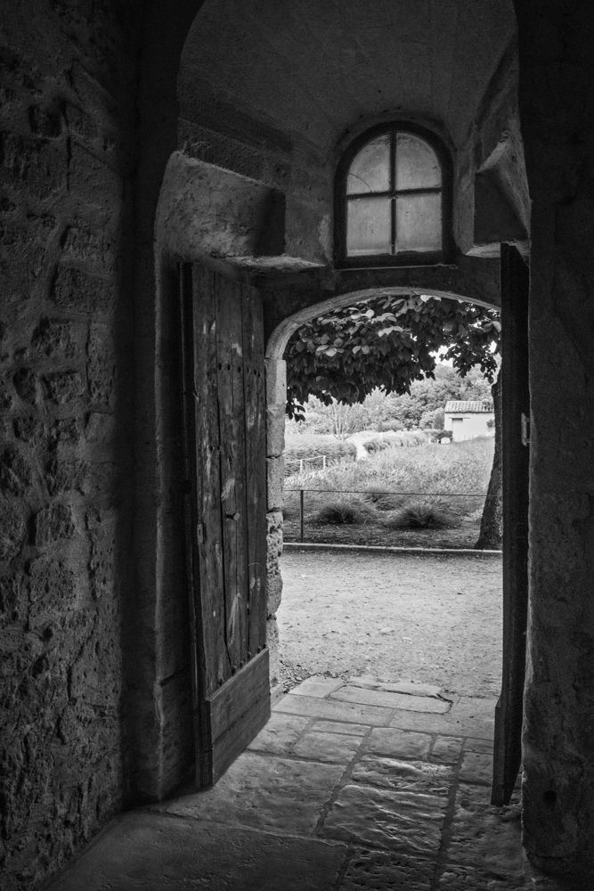Looking Out at the Garden, Saint-Paul Asylum
