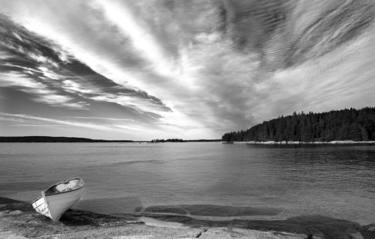 Waiting for the Tide