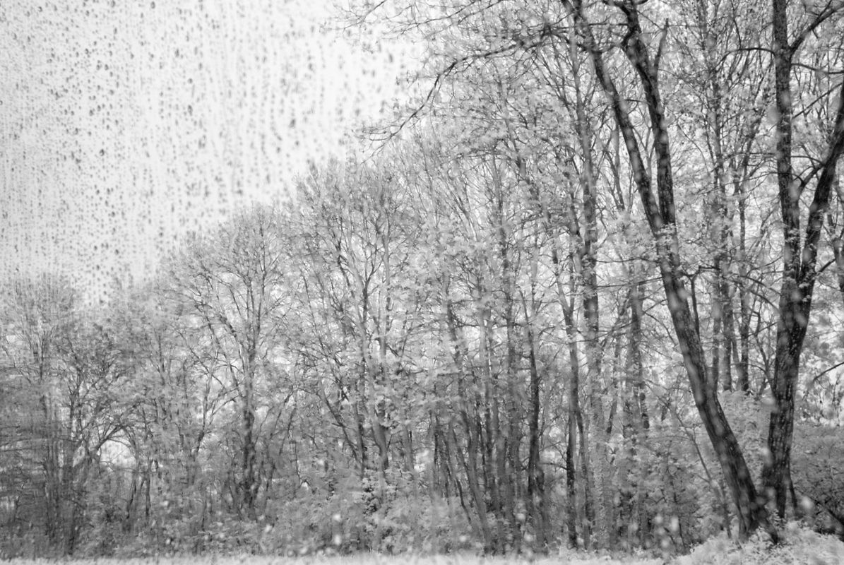 View Through a Rainy Window, Infrared