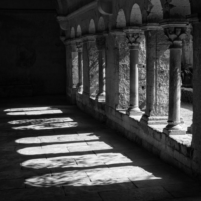 Patterns, Saint-Paul Asylum, Saint-Remy