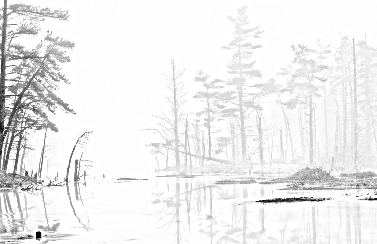 Beaver Lodge - Sketch