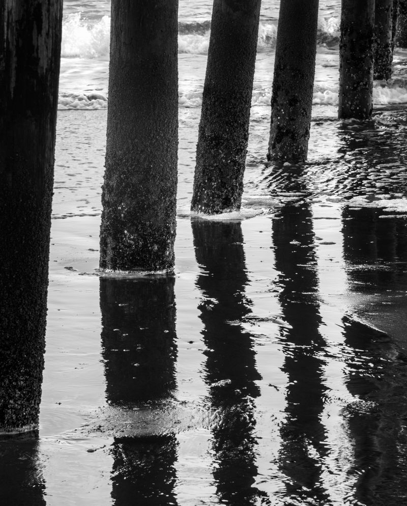 Pilings and Reflections