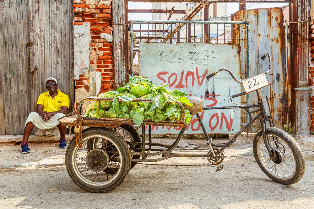 cuba_lettuce_vendor.jpg