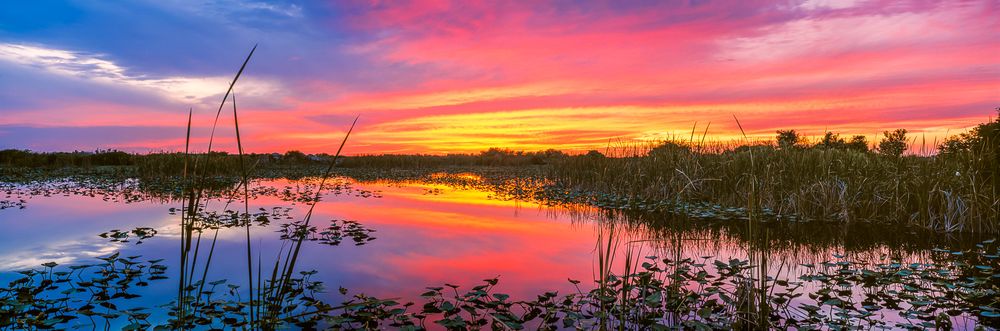 everglades_summer_sunset.jpg