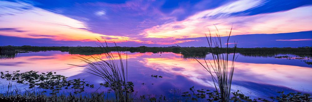 everglades_winter_sunset.jpg