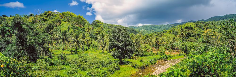 verdant_stream_port_antonio_jamaica.jpg
