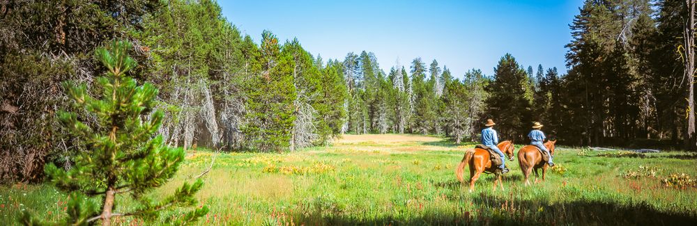 yosemite_riders_color.jpg