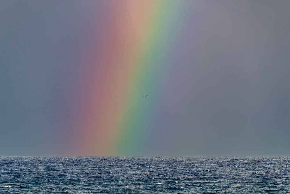 soaring_flight_rainbow_storm.jpg
