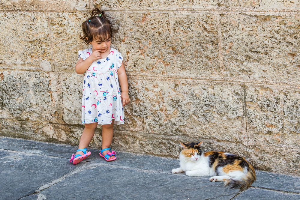 cuba_little_girl_and_cat.jpg