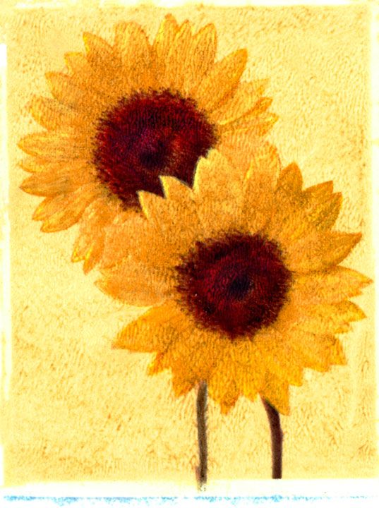 sunflowers-2.jpg