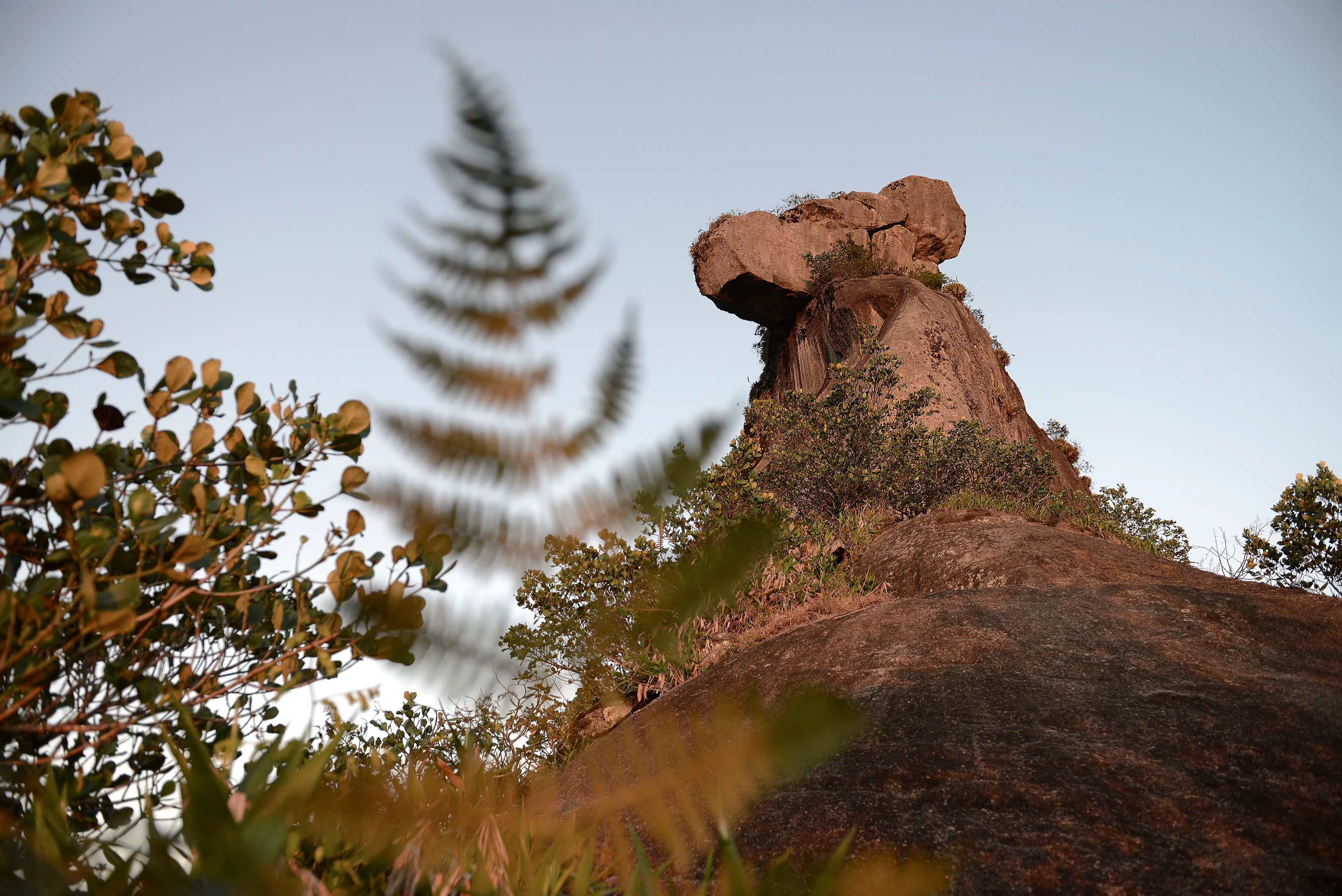 09 - Mickey Mouse_publicidade.jpg