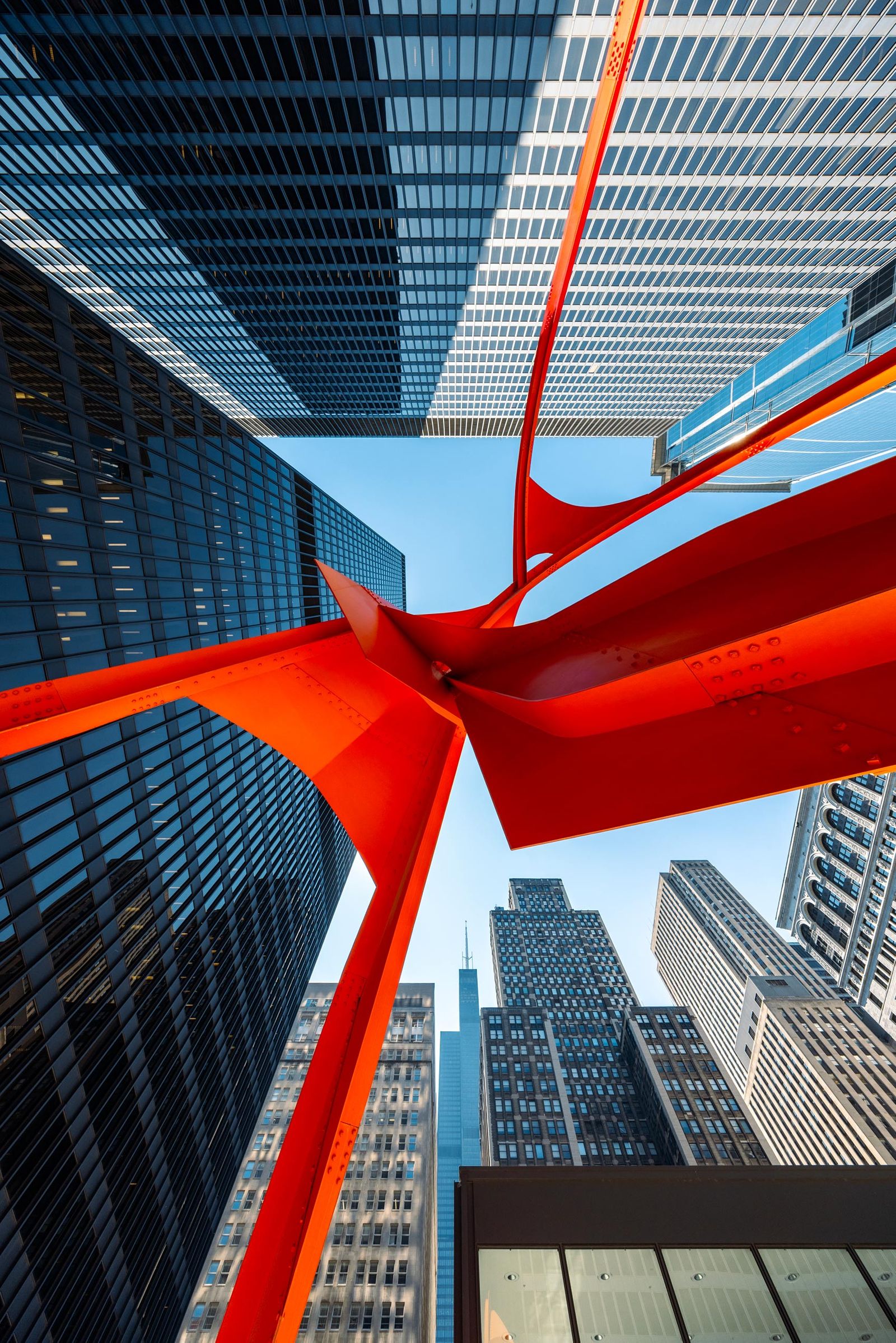 Calder Flamingo, Chicago