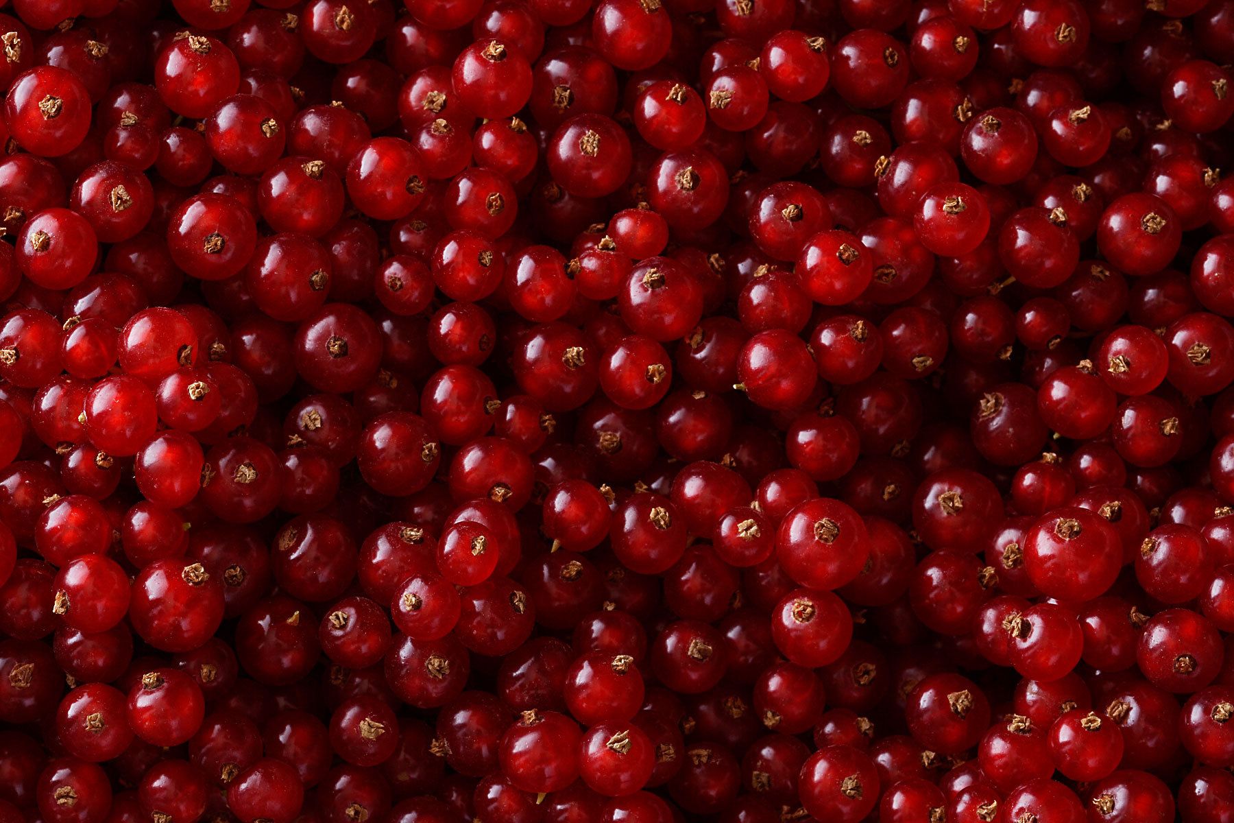 Currants Red