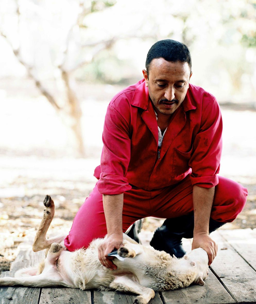 1b4slaughtersq1large