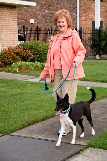 Older red headed attractive female trains her dog to walk beside her in beautiful residential area in Spring in New Orleans Senior woman walks her dog in neighborhood