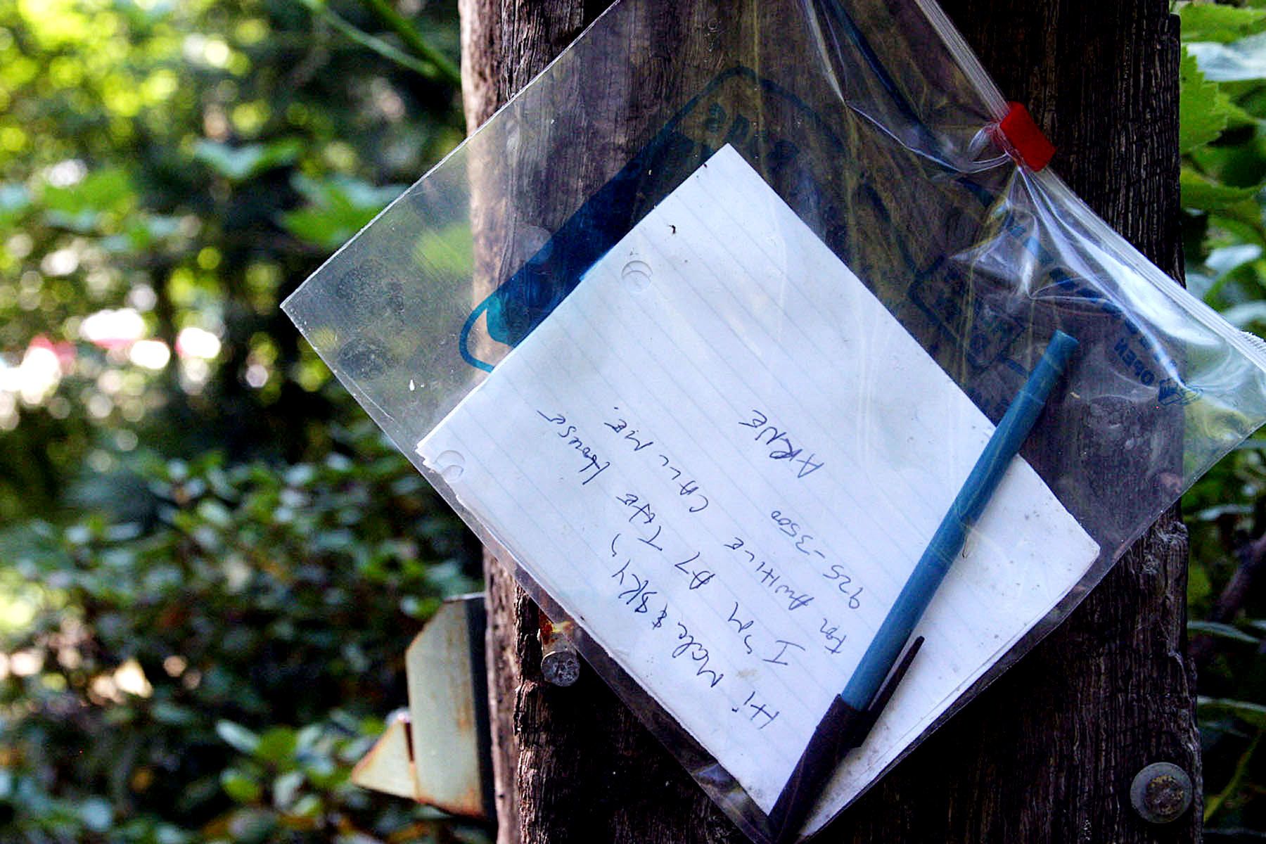 1webnanish_shontie_5650