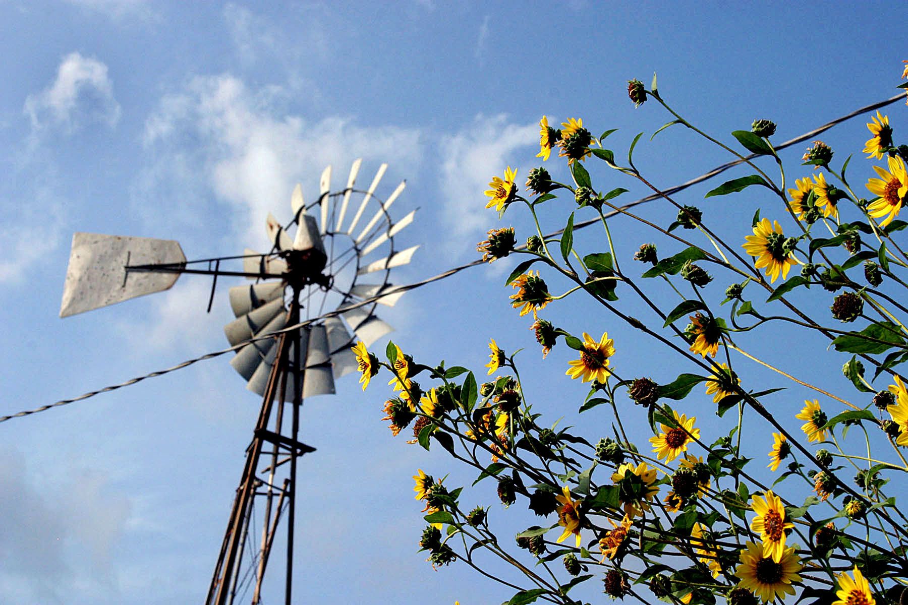 1webreliance_community_1792