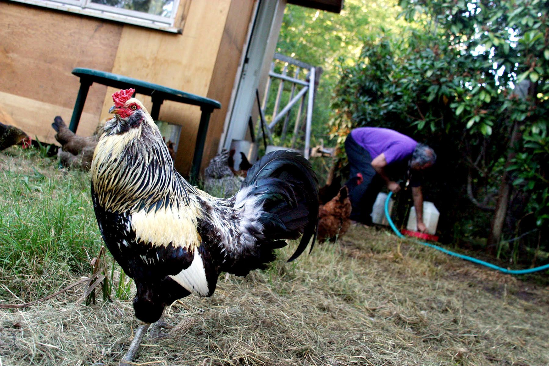 1webnanish_shontie_5589