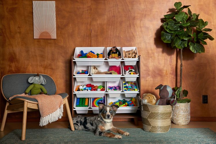 Art Producer: Melanie Trombley Wayfair Bess Friday photography Production Squad Melanie Trombley Art Producer retail lifestyle studio product dog