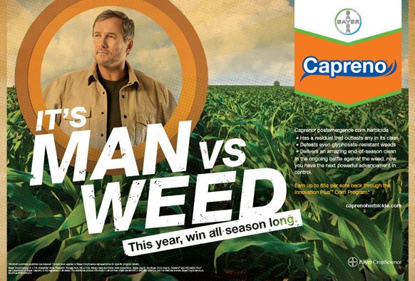 Client: Bayer Capreno; Photographer: Robert Randall