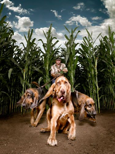 Client: BASF Photographer: by Robert RandallProducer: Melanie TrombleyShot by Robert Randall on location outside of San Antonio, Texas for BASF and Howard Merrill Agency. It was about 105 degrees Farenheit- we had to have an airconditioned RV for the dogs....I did the production and casting for this series. If you want to use these bloodhounds next time you're in central Texas, let me know. Client: BASF; Photographer: by Robert Randall