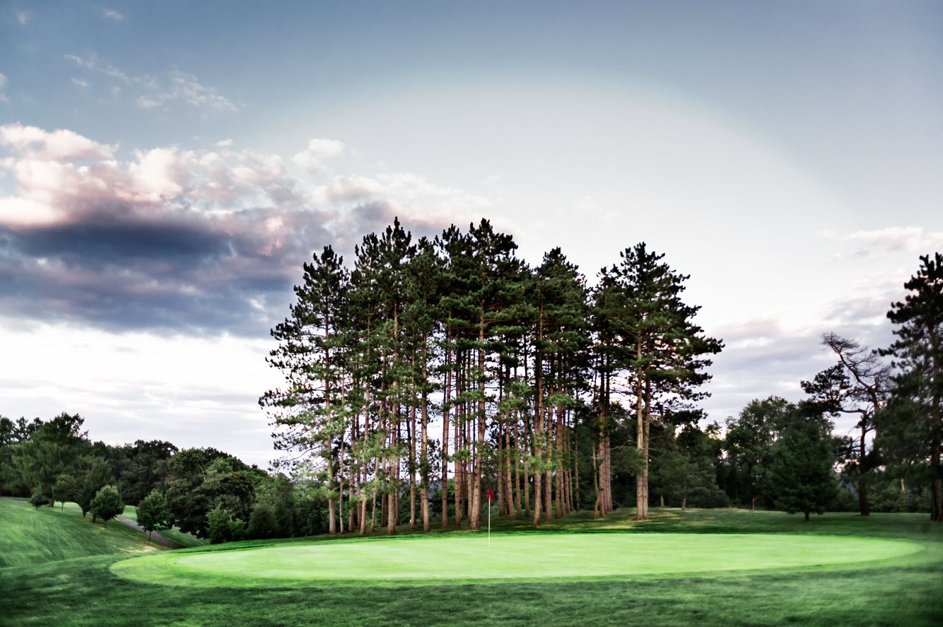 LandScape Image - Golf Course.jpg