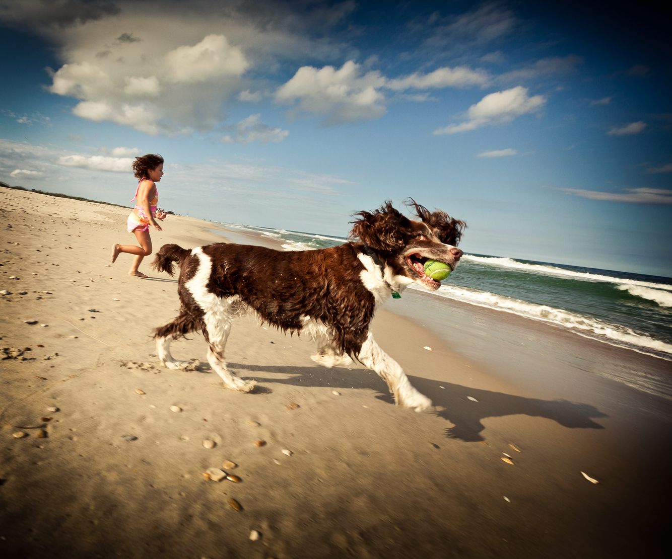 Lifestyle Image- Dog and Toddler Running on Beach.jpg