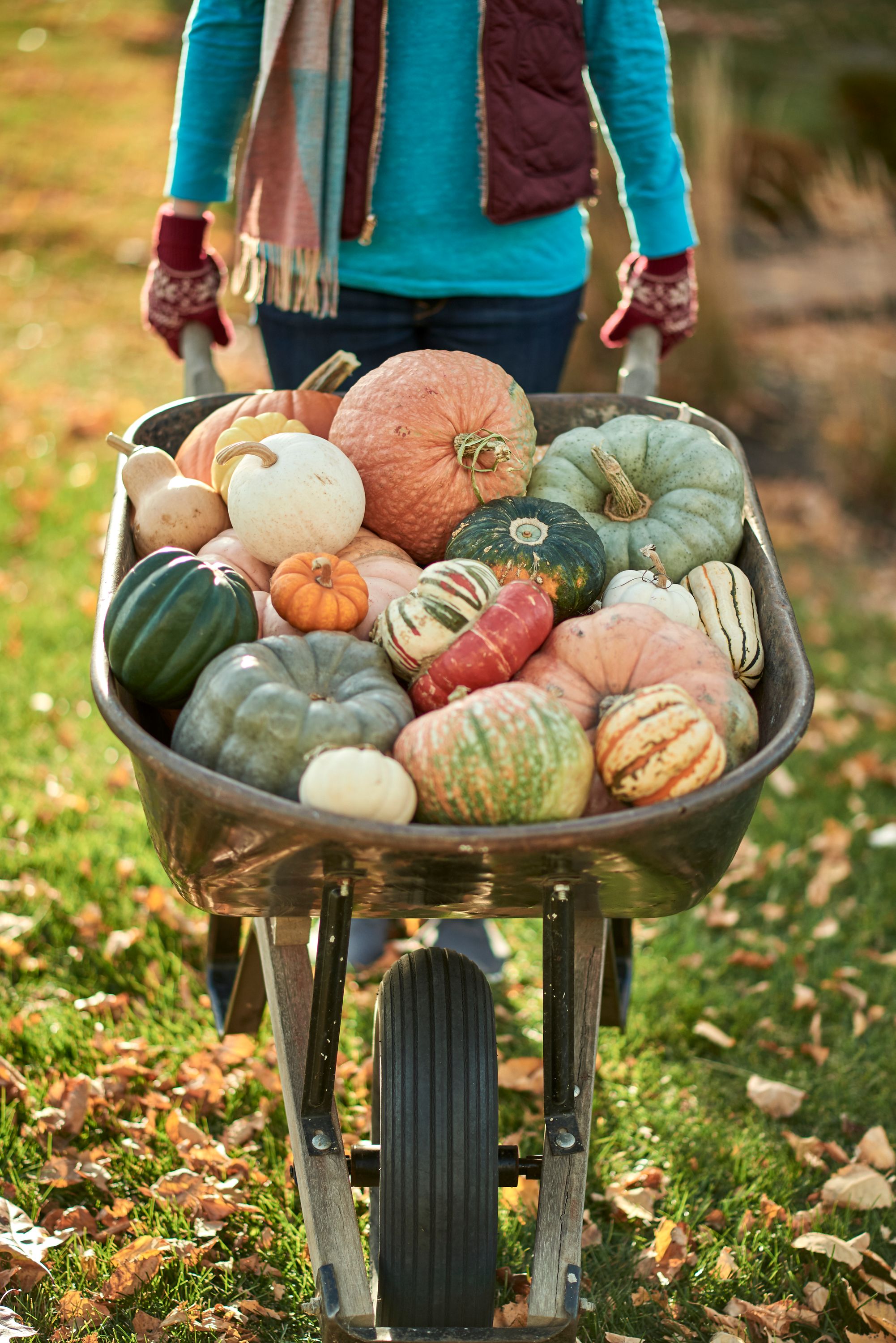 Capture One Session13852.jpg