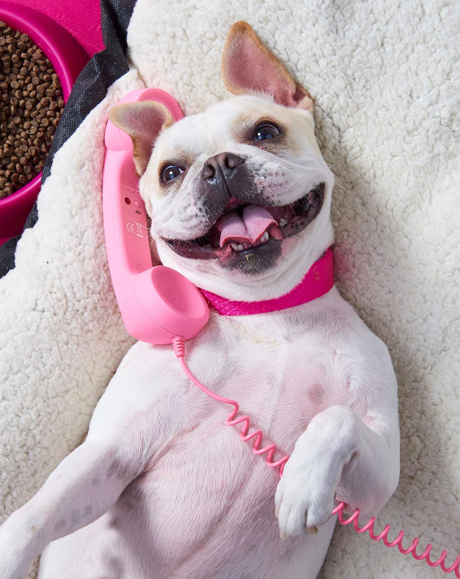 Capture One Session6577.jpg