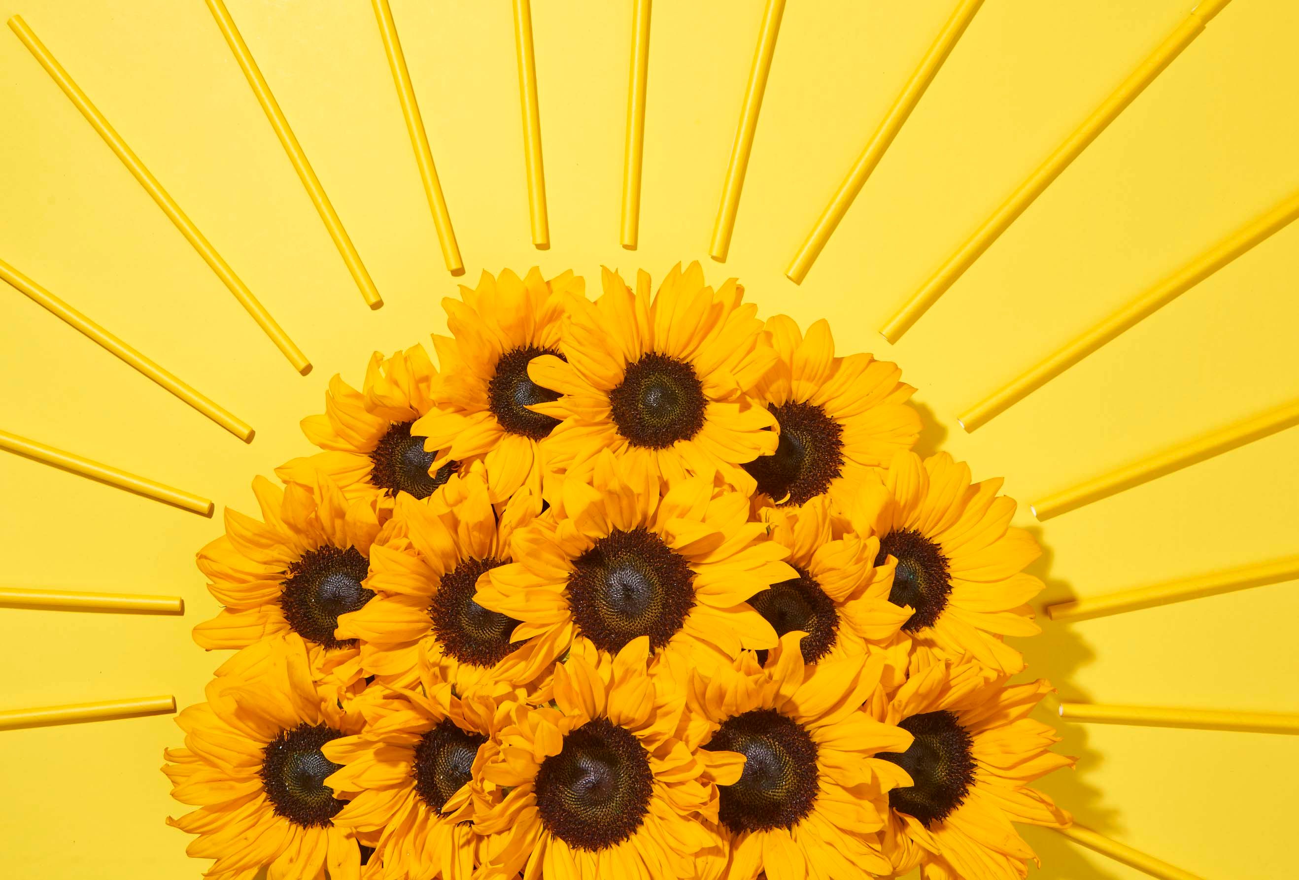 Capture One Session24225 1.jpg