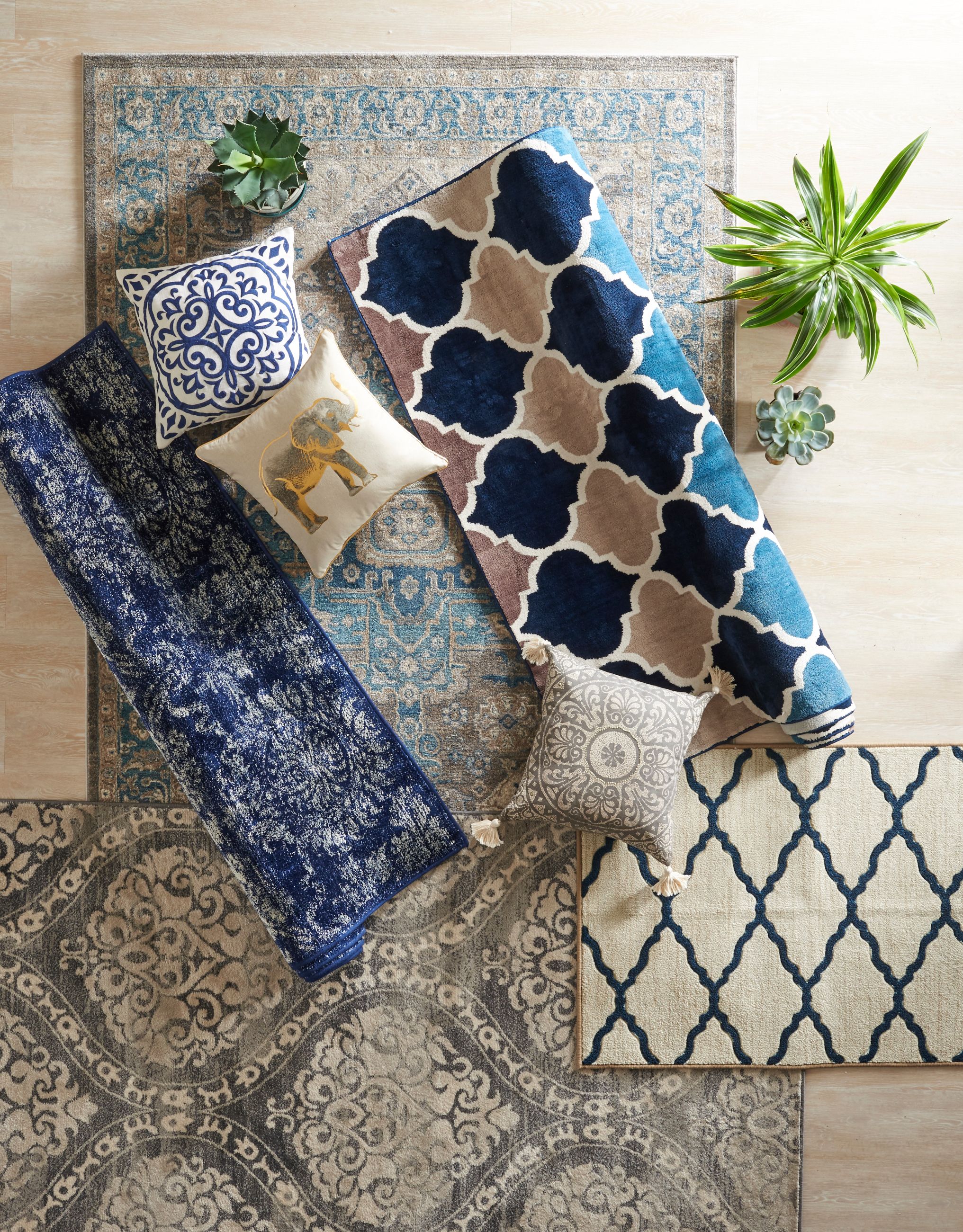 Untitled Session20554.jpg