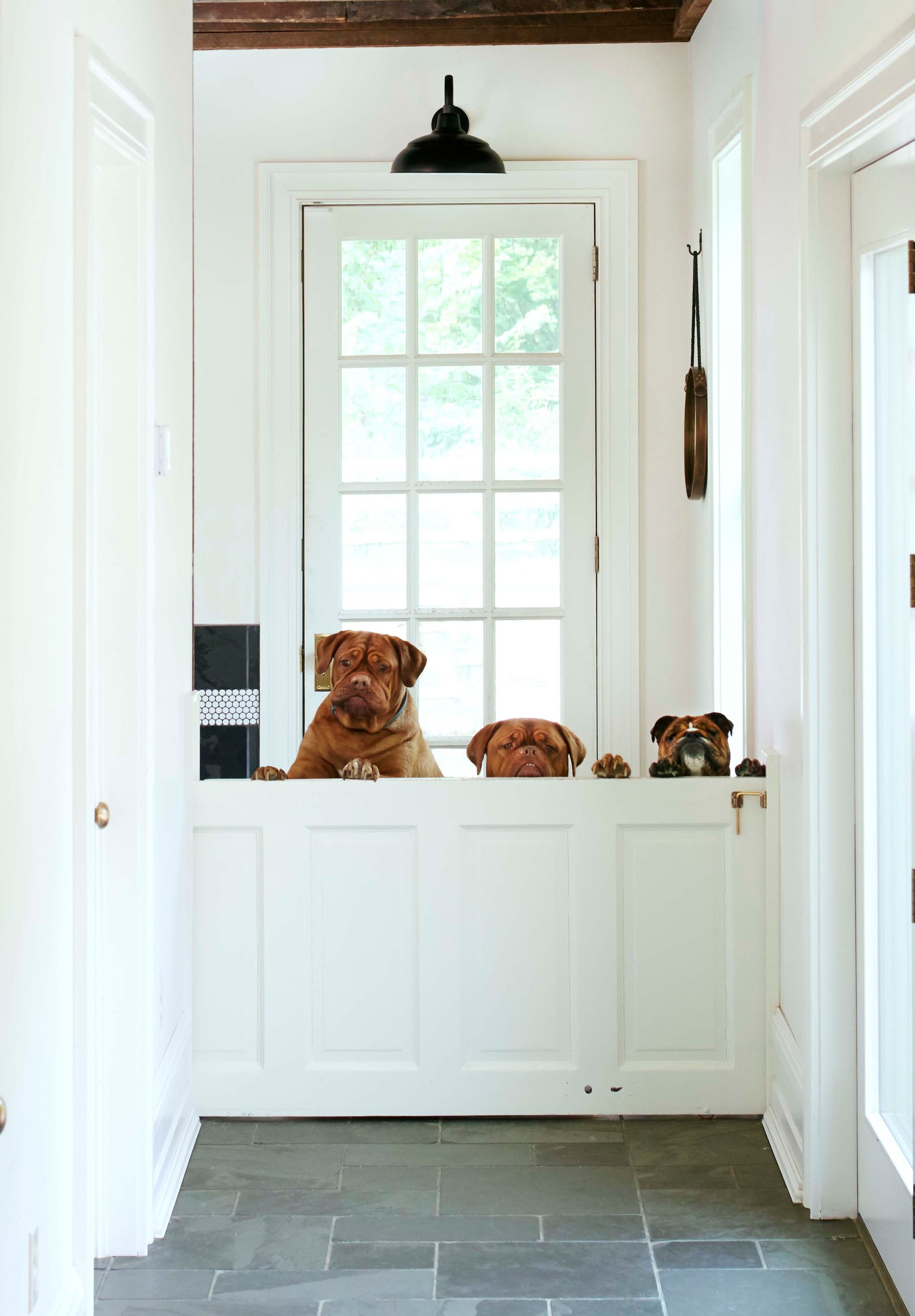 Capture One Session15299b.jpg