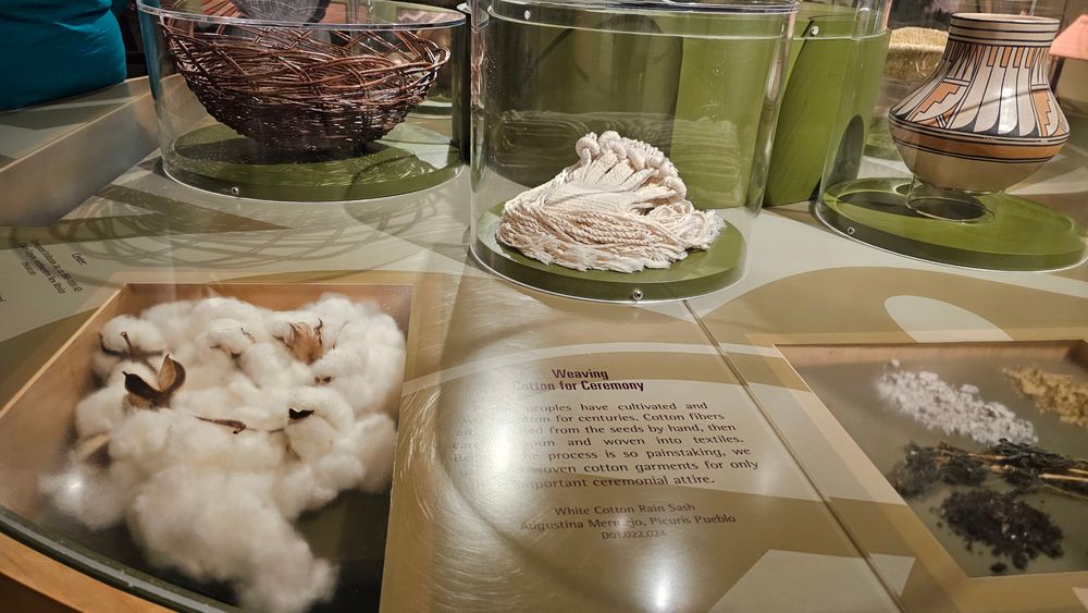 Cotton.jpg