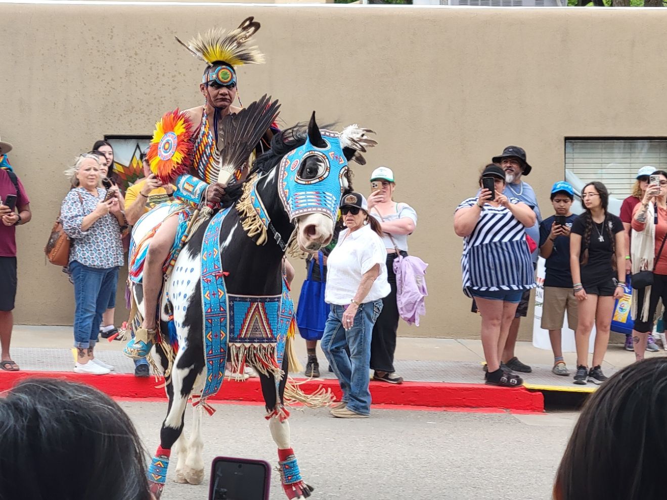 Beaded Horse Regalia