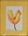 yellow flower.jpg