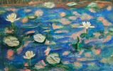 water lilies.jpg