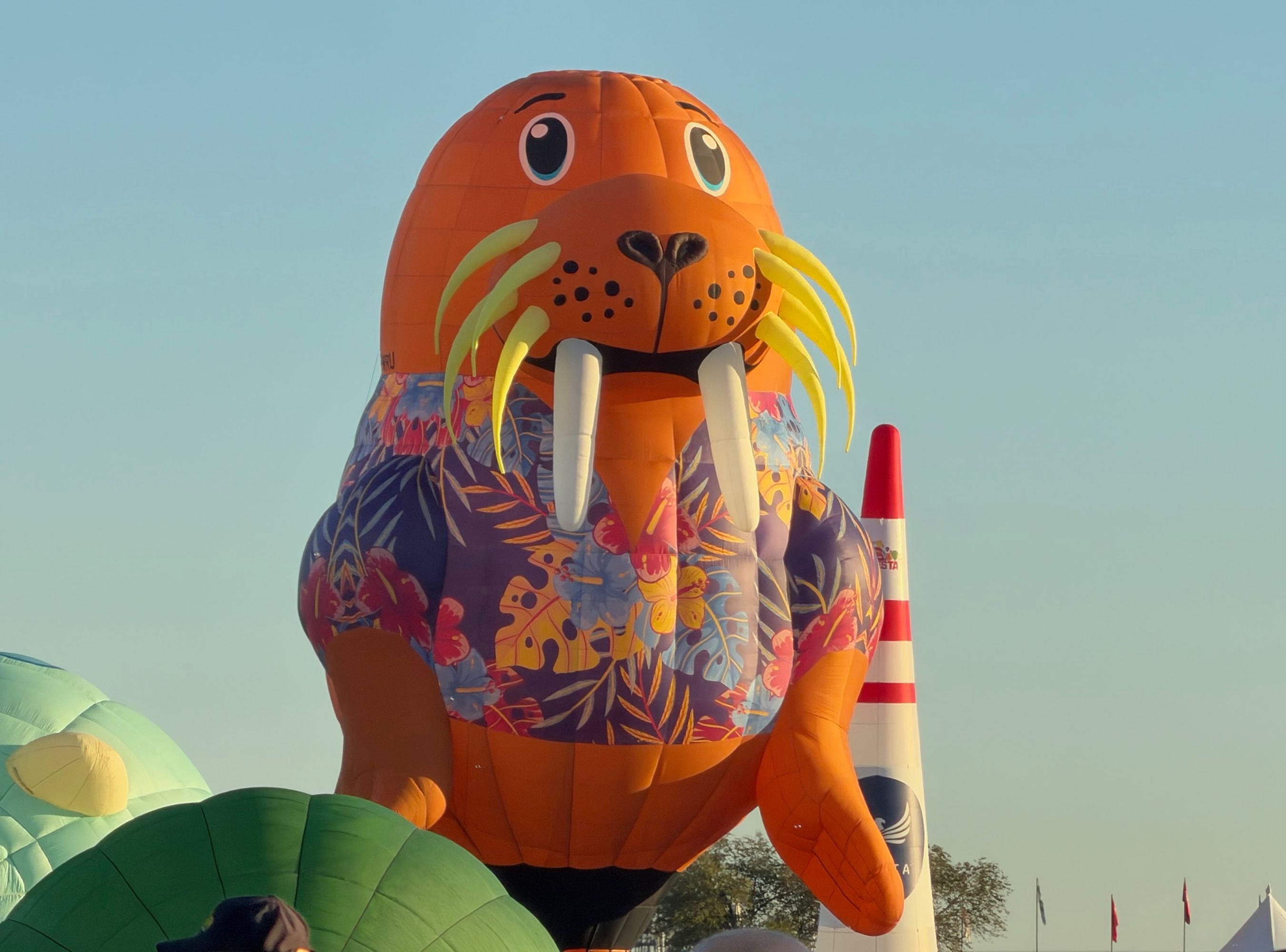 Happy Walrus Happy Walrus.jpeg