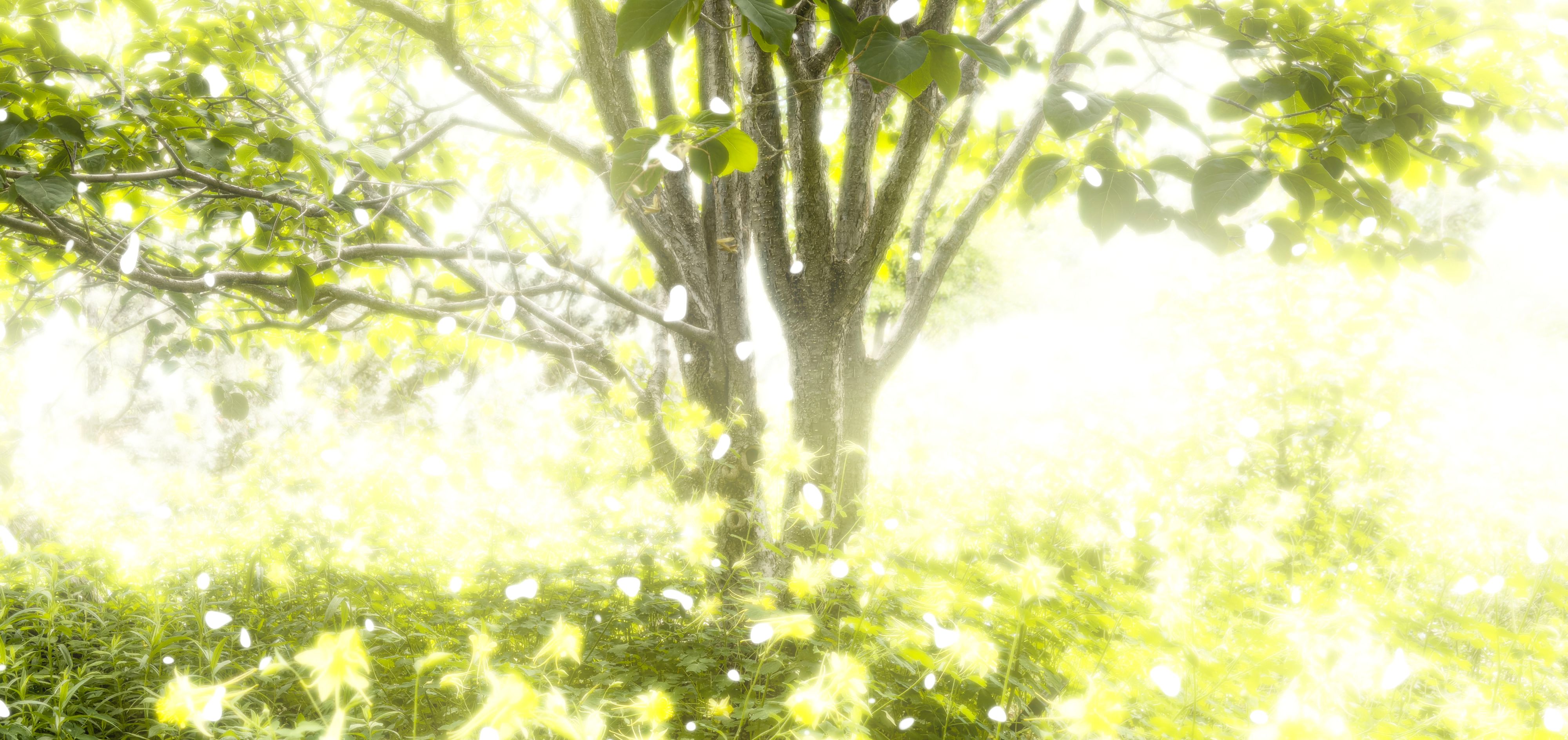 IMG_0363 photo bar pp.jpg