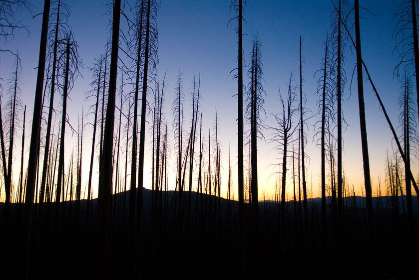 1r20060528_Yellowstone_Tetons_DHF_1844
