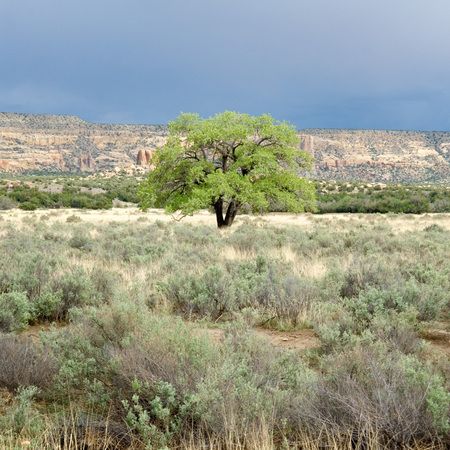 1r20070517_Santa_Fe_Dad_DHF_9397