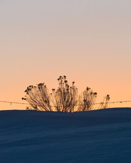 1r20080216_Desert_Southwest_DHF_38241