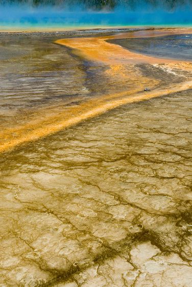 1r20060528_Yellowstone_Tetons_DHF_1886