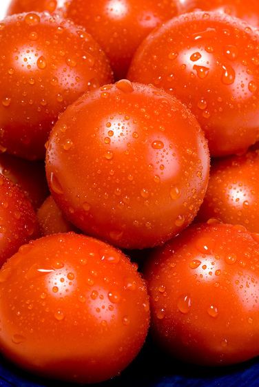 1r20070524_Stock_Food_Studio_DHF_0126