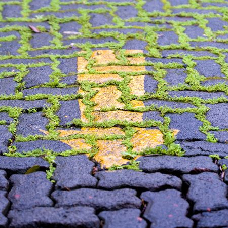 1r20071213_Costa_Rica_DHF_31562