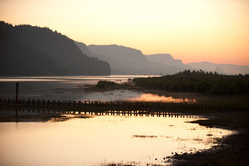 1r20090715_Emergensee_Festival_DHF_20098758