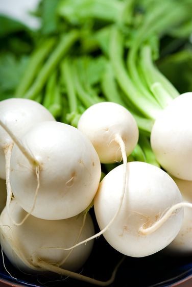 1r20070524_Stock_Food_Studio_DHF_0114