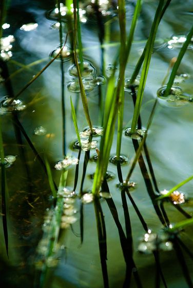 1r20070517_Santa_Fe_Dad_DHF_9265